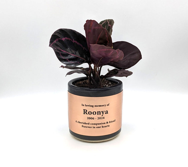 Roonya branded piece