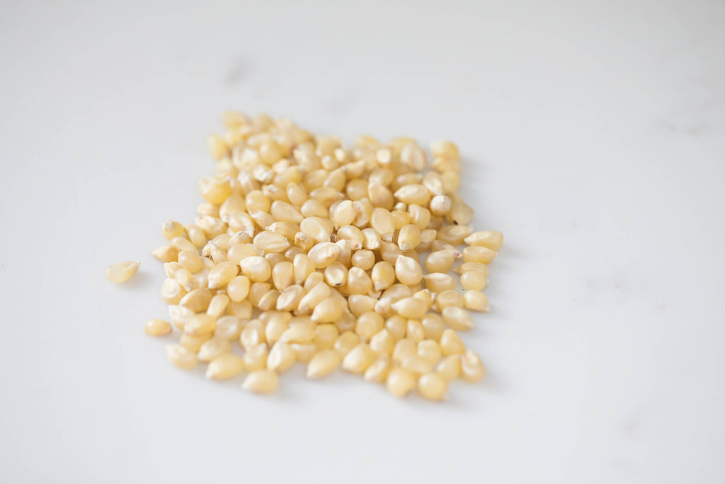 Amish Country White Hulless Popcorn