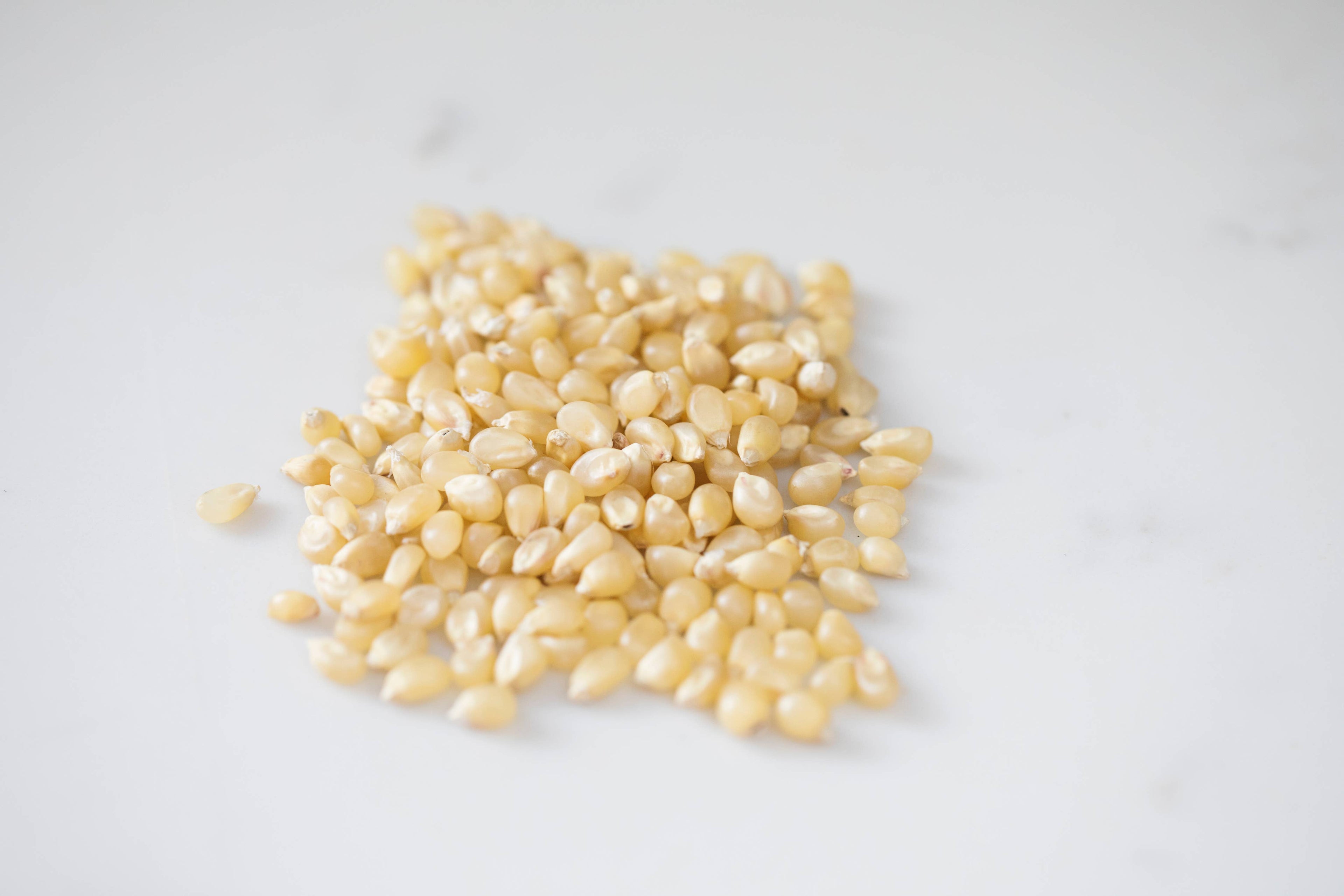 Amish Country White Hulless Popcorn