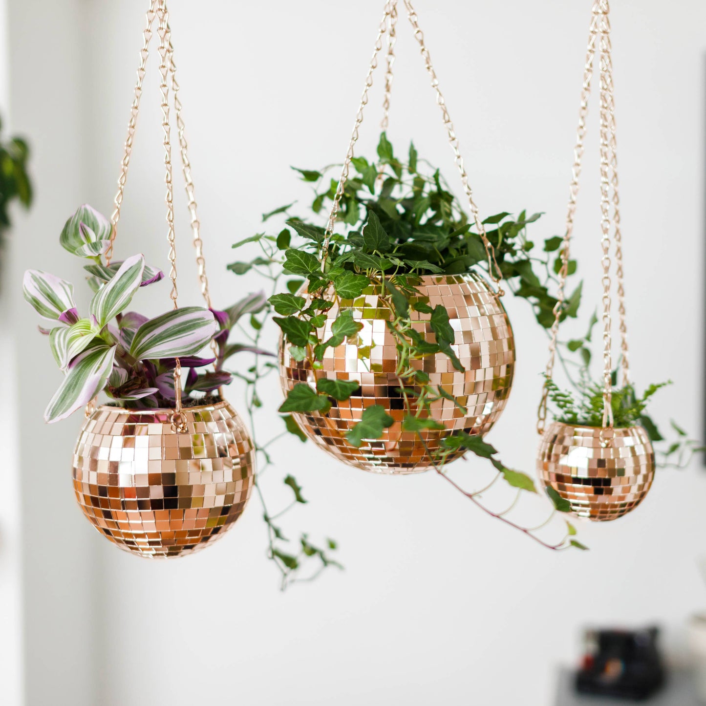 Disco Ball Hanging Planter - Rose Gold