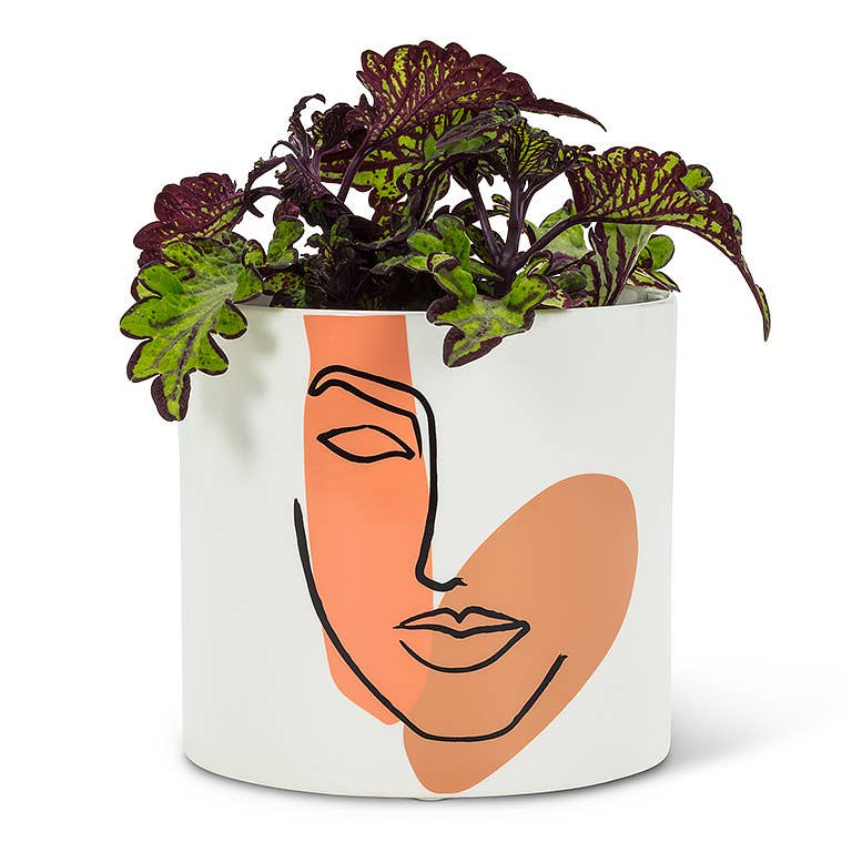 Modern Face Planter