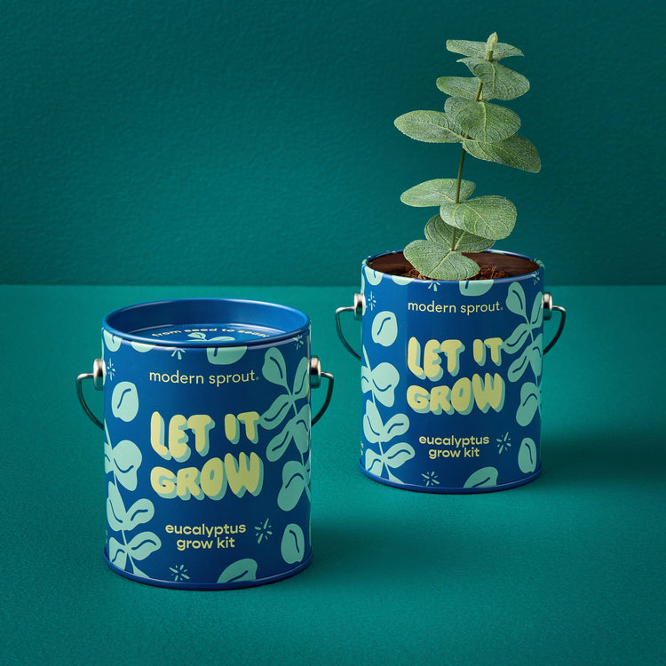 Holiday Grow Kits: Let It Grow - Eucalyptus