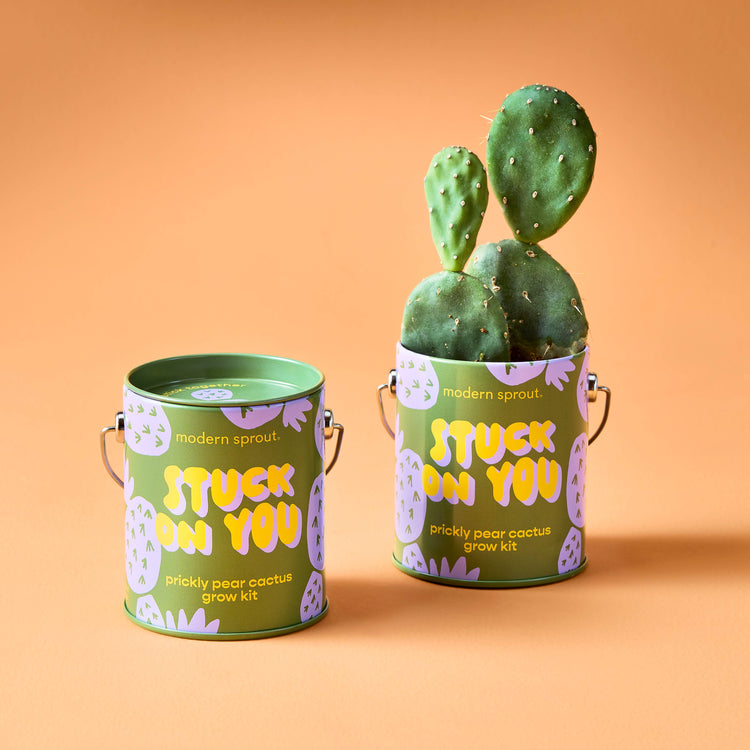 Stuck on You Cactus Grow Kit