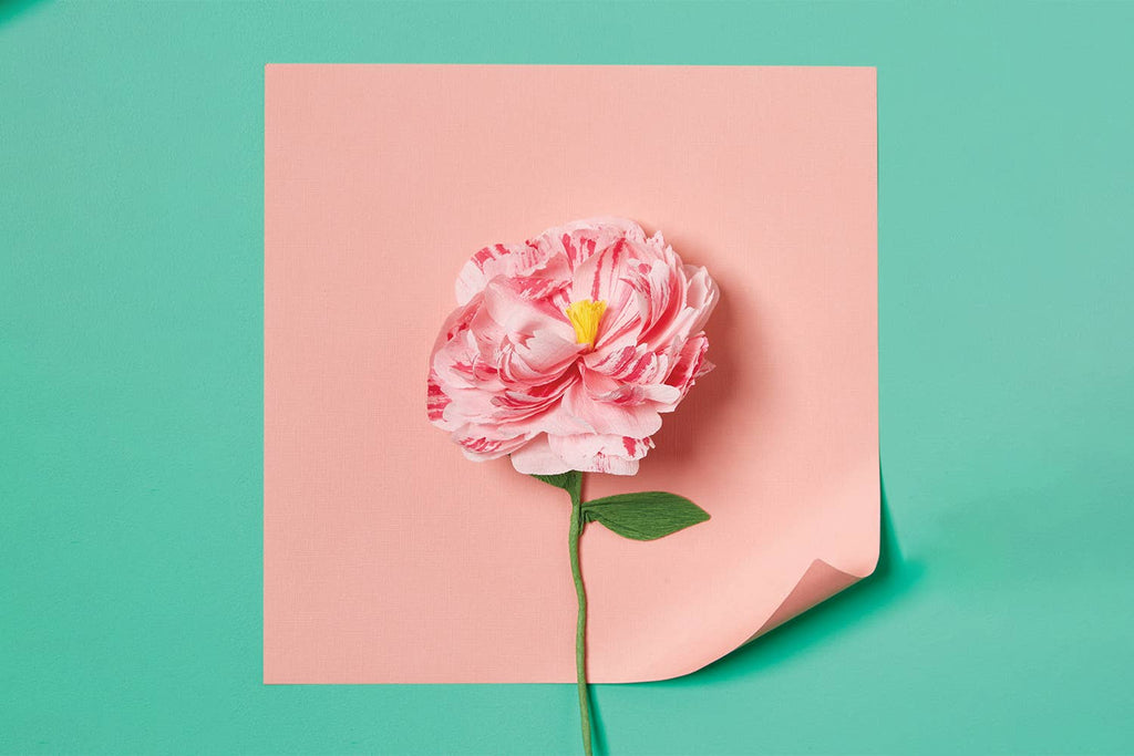 Paper Flower Making Kit