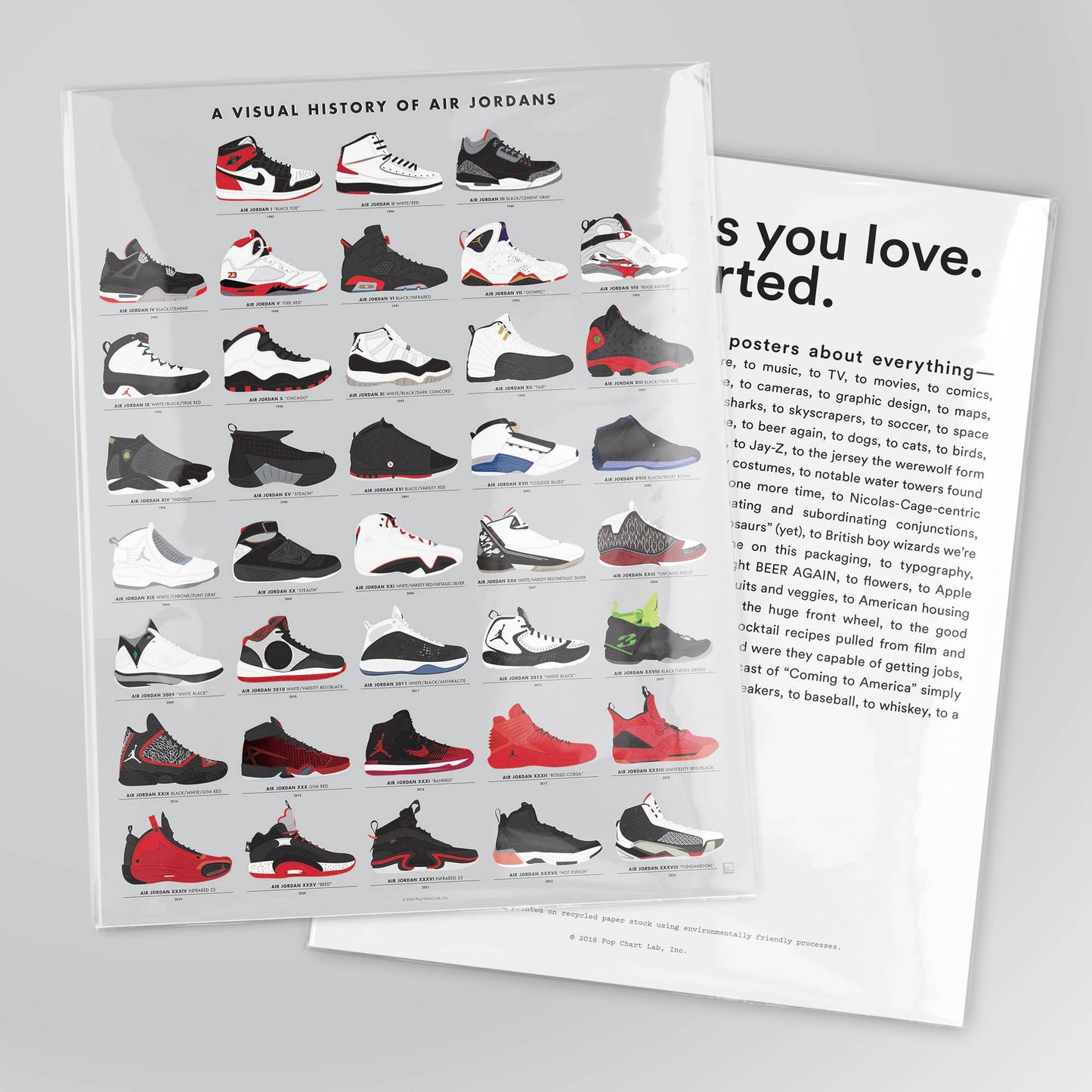 A Visual History of Air Jordans (16x20)