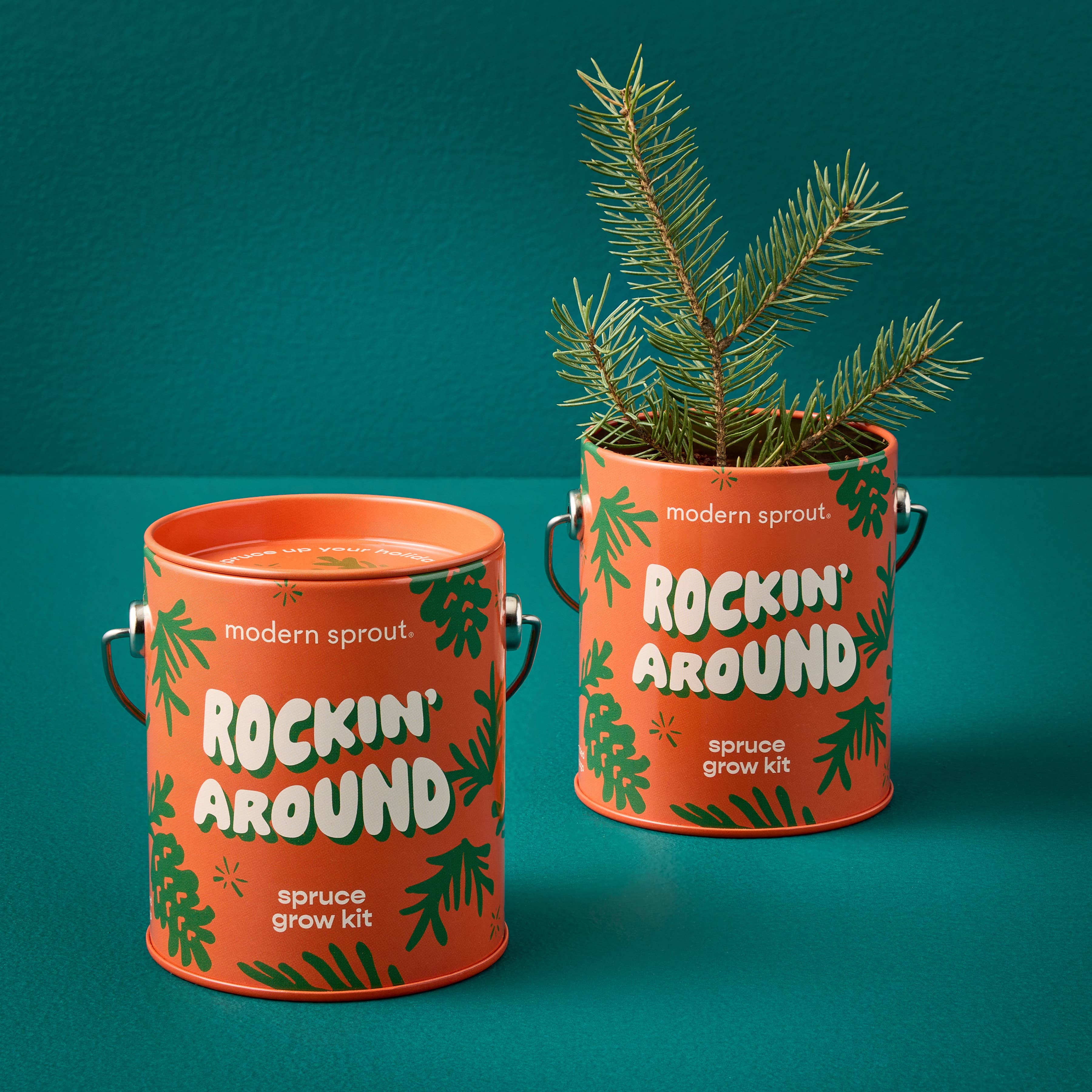 Holiday Grow Kits: Rockin' Around - Norway Spruce