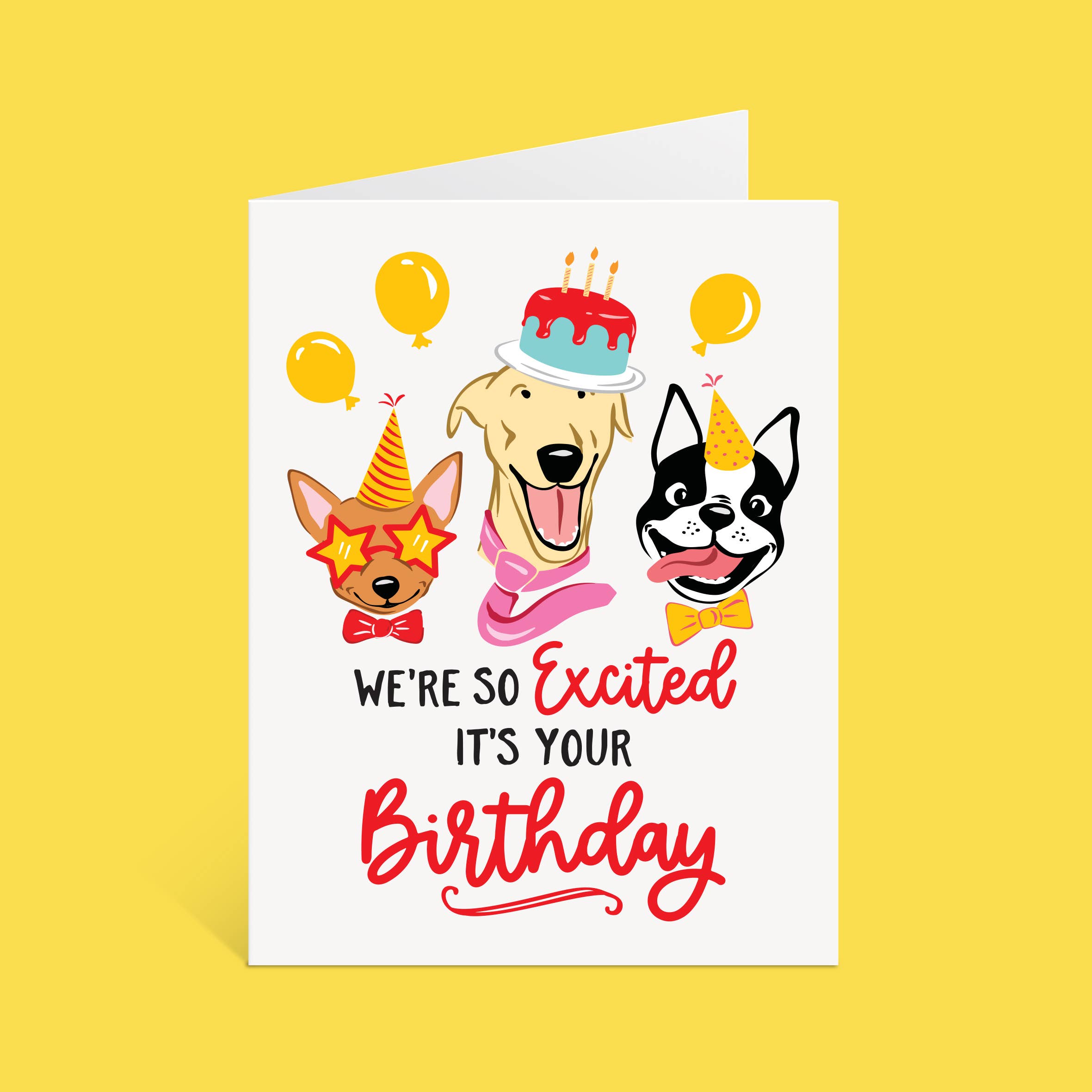 Funny Dogs | So Excited Birthday Card (A2)