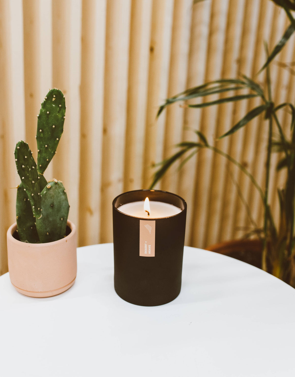 Desert + Agave - Matte Black Tumbler Soy Candle