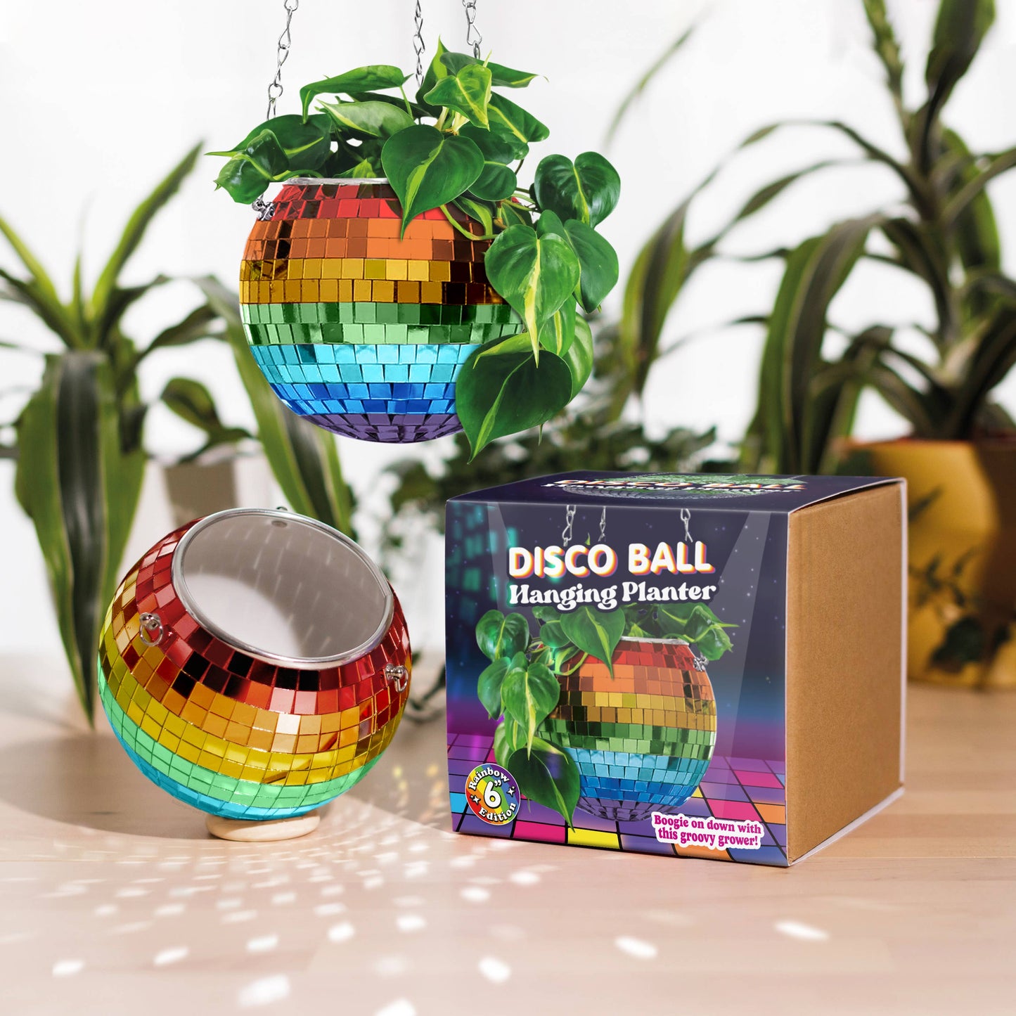 Disco Ball Hanging Planter - Rainbow