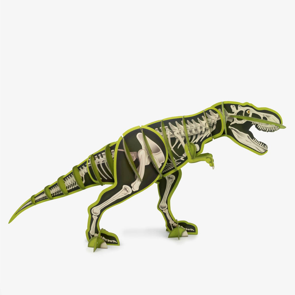 Build-a-Toy: Giant Tyrannosaurus Rex for Kids Age 7-12