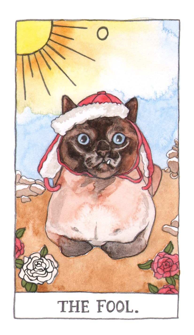 Cat Tarot Deck and Guidebook