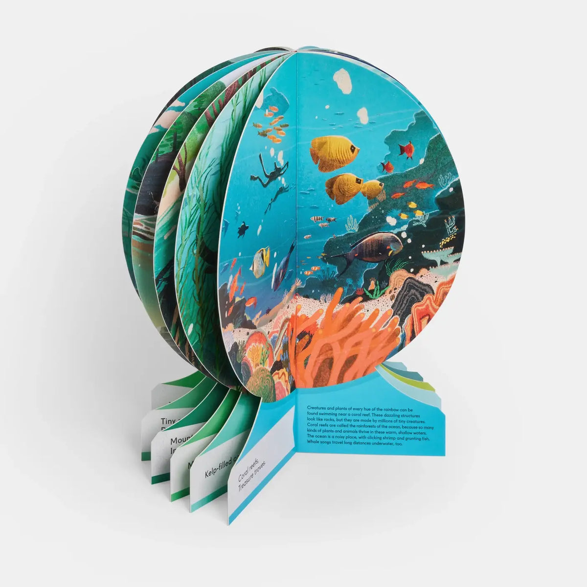 Our Underwater World: Dive Into Oceans, Lakes, Rivers
