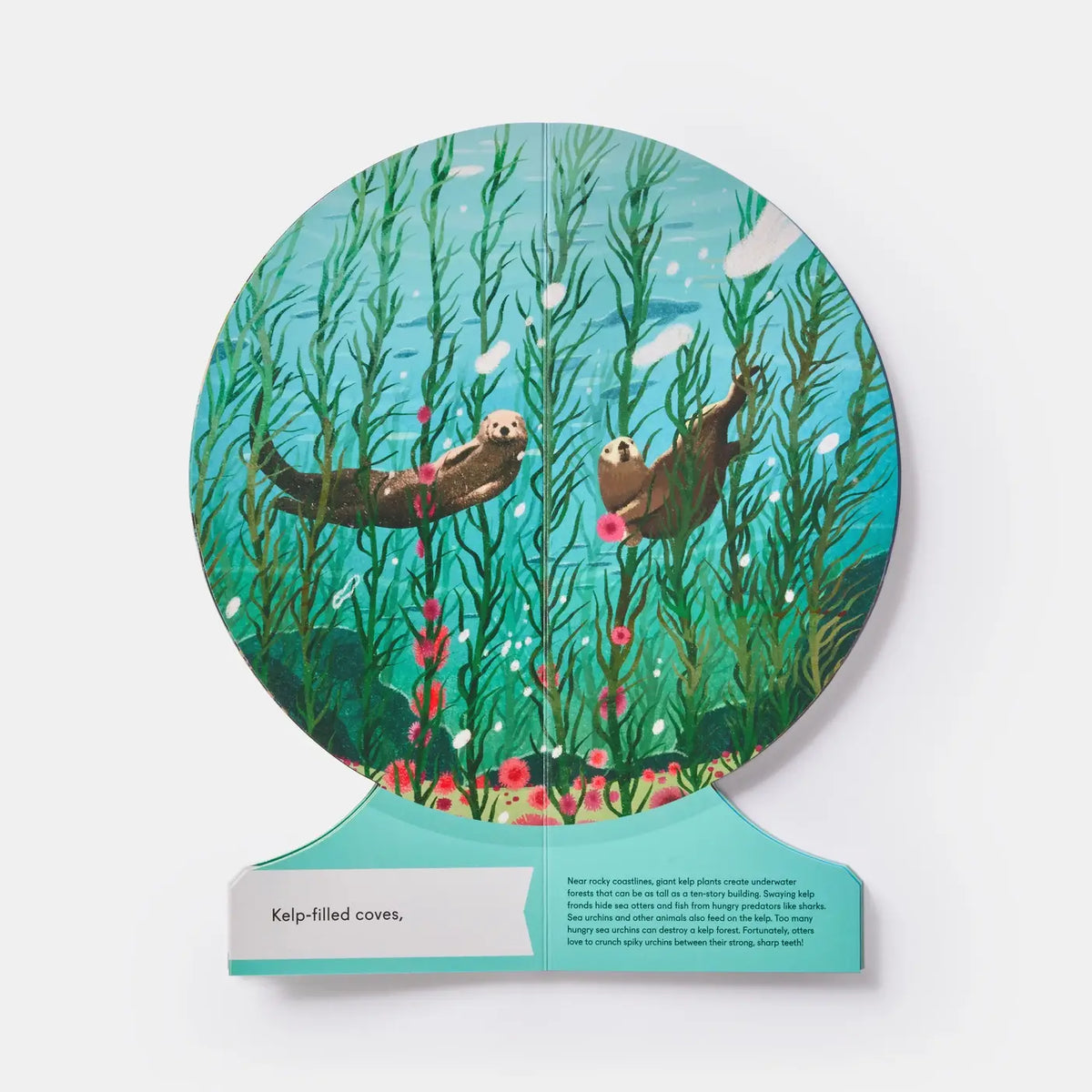 Our Underwater World: Dive Into Oceans, Lakes, Rivers