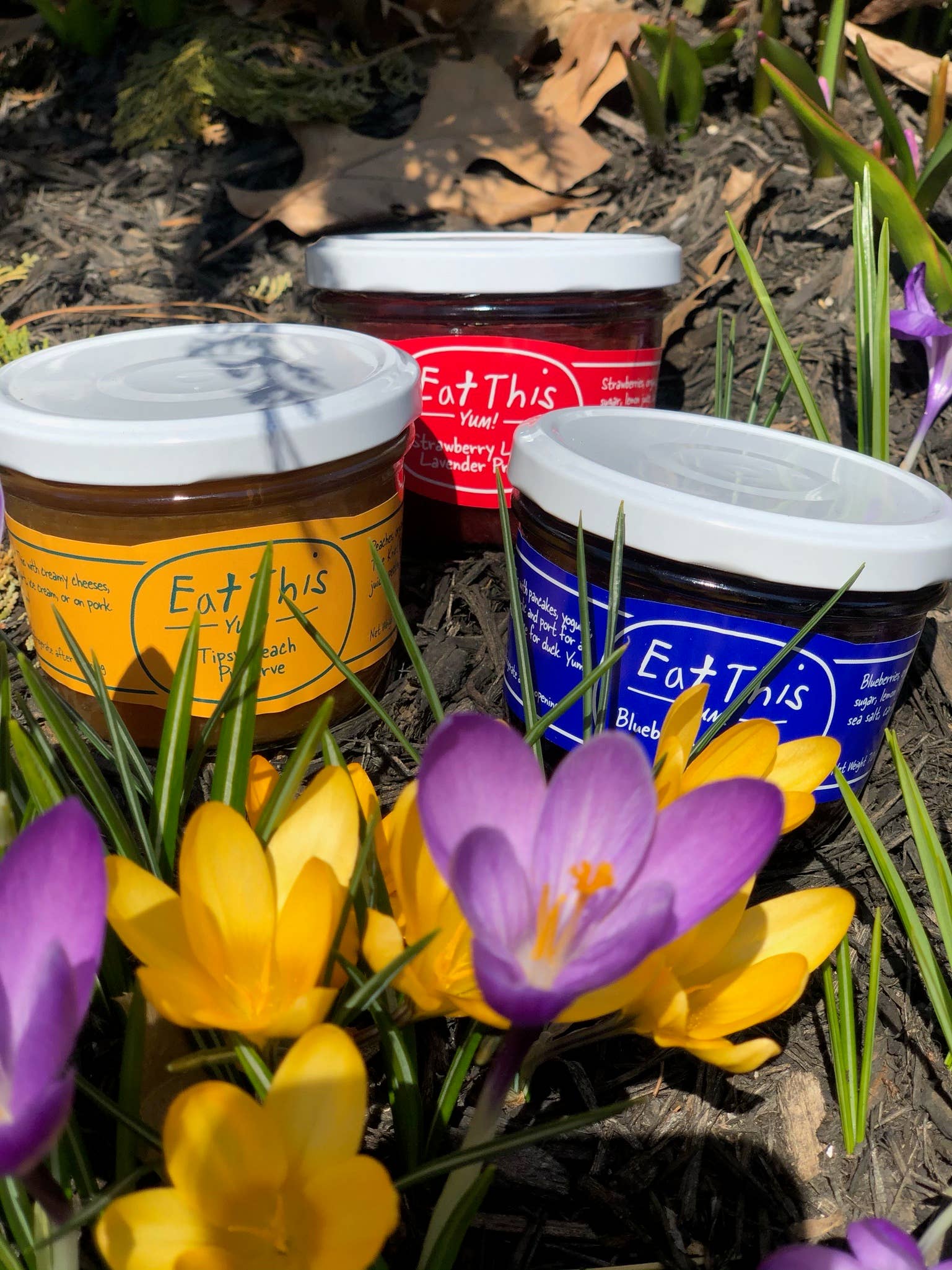 Blueberry Cardamom Preserve : 7 OZ