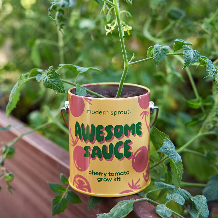 Awesome Sauce Tomato Grow Kit