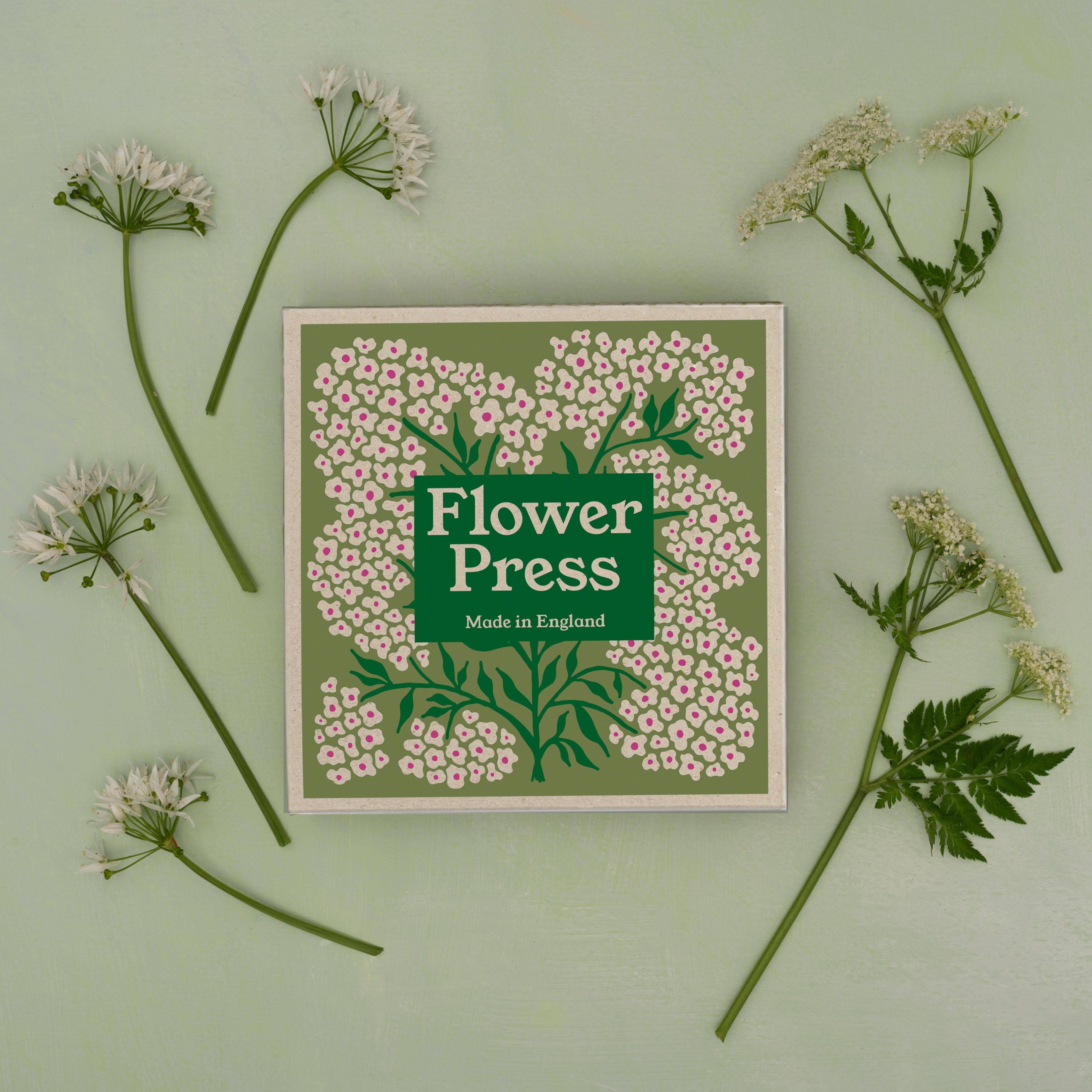 Flower Press - Forget Me Not