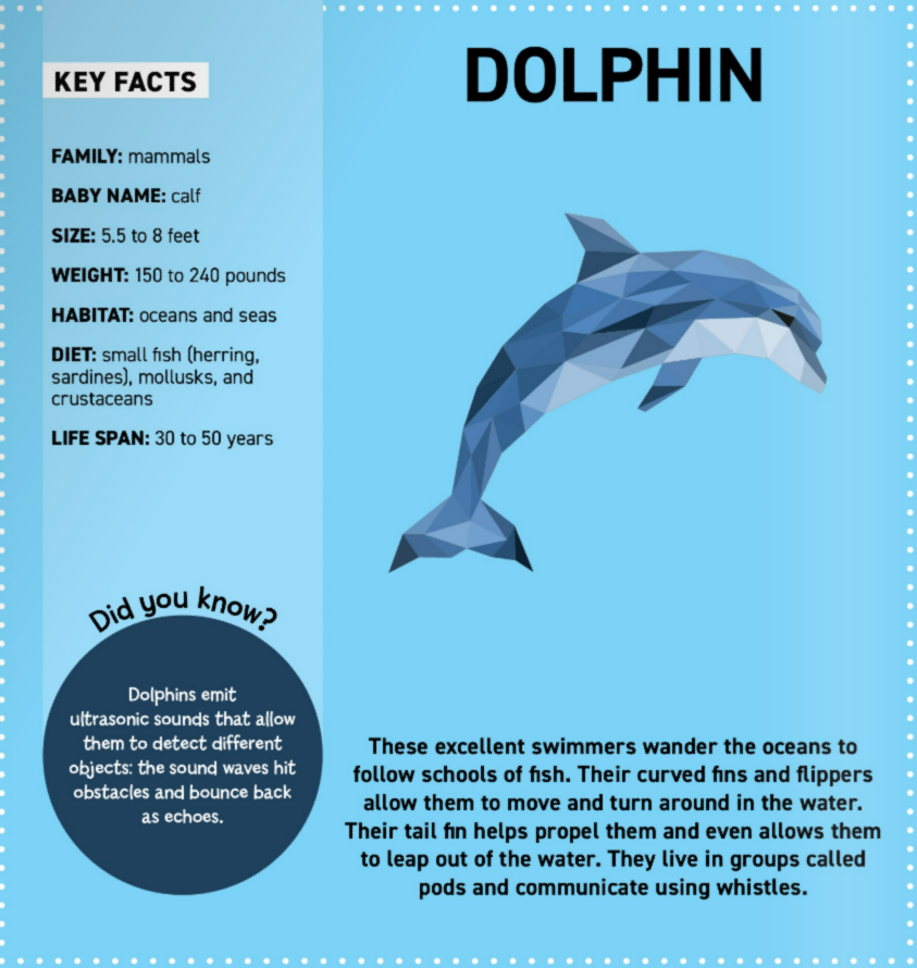 My Sticker Paintings: Ocean Animals