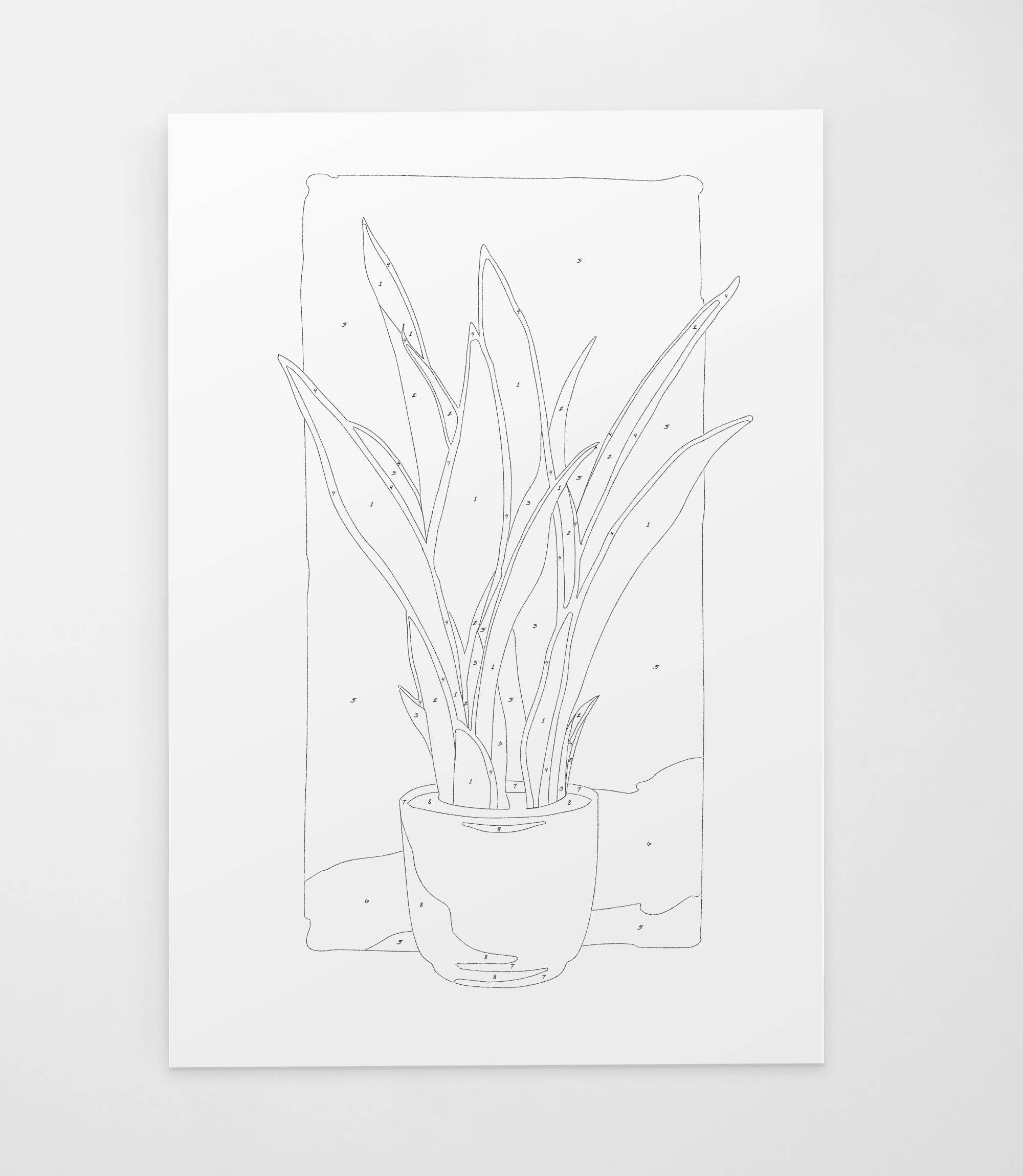 Potted Snake Plant | Modern Paint By Numbers Kit (12.5x19)