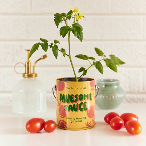 Awesome Sauce Tomato Grow Kit