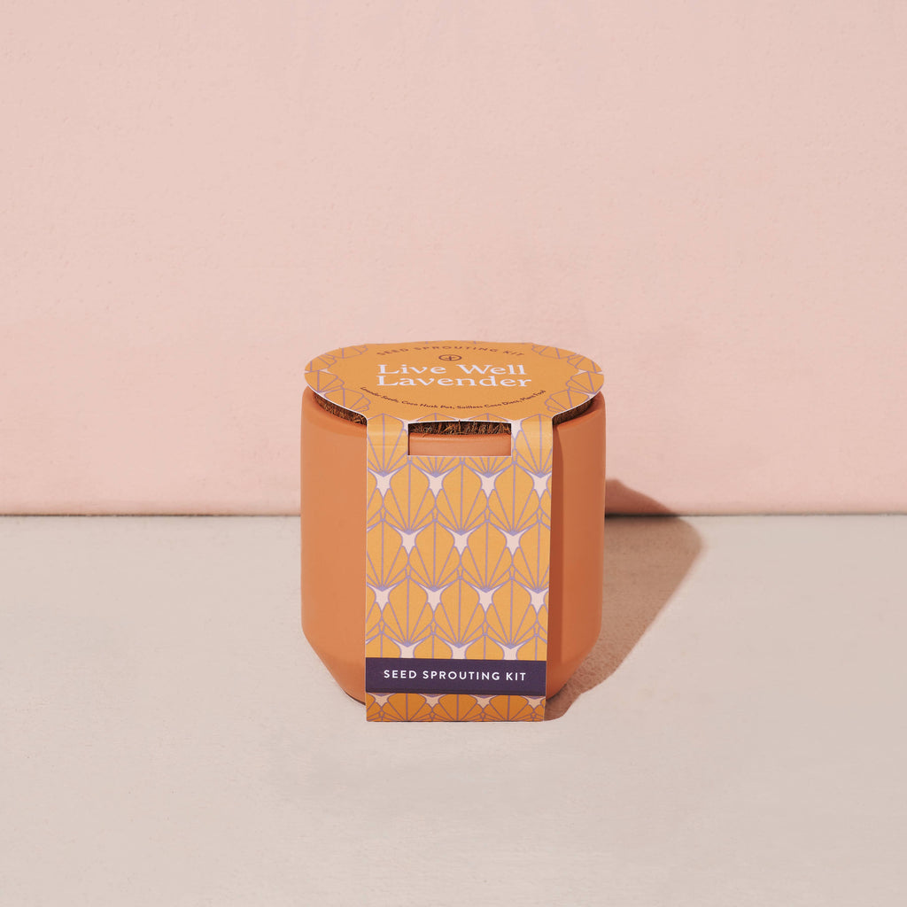 Tiny Terracotta Grow Kits: Good Luck Clover