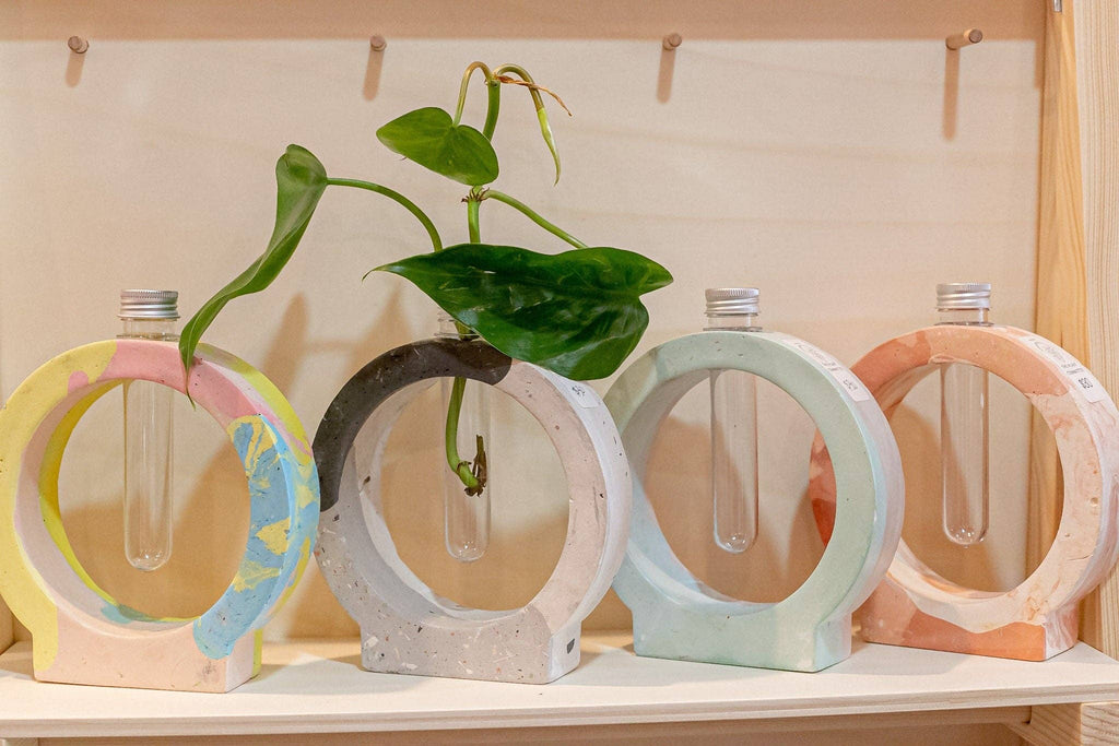 Circle Propagation Station