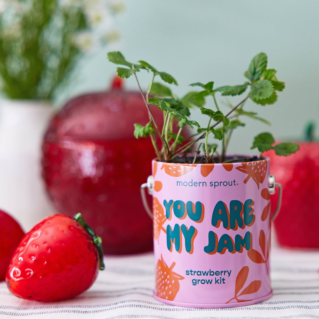 My Jam Grow Kit