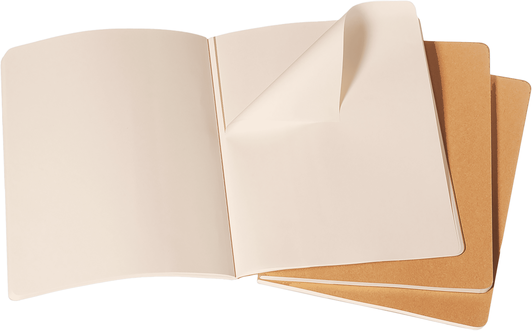 Moleskin Set of 3 Journals