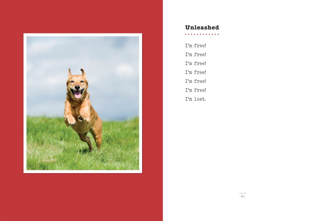 I Could Chew on This: And Other Poems by Dogs