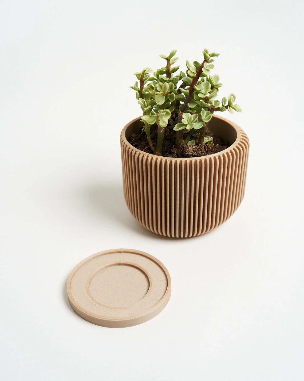 IONIC™ Beige Unique Flower Pot