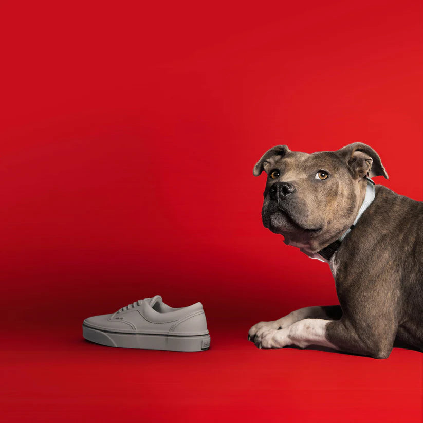 Sneakerhead Dog Chew Toy - Cement Gray