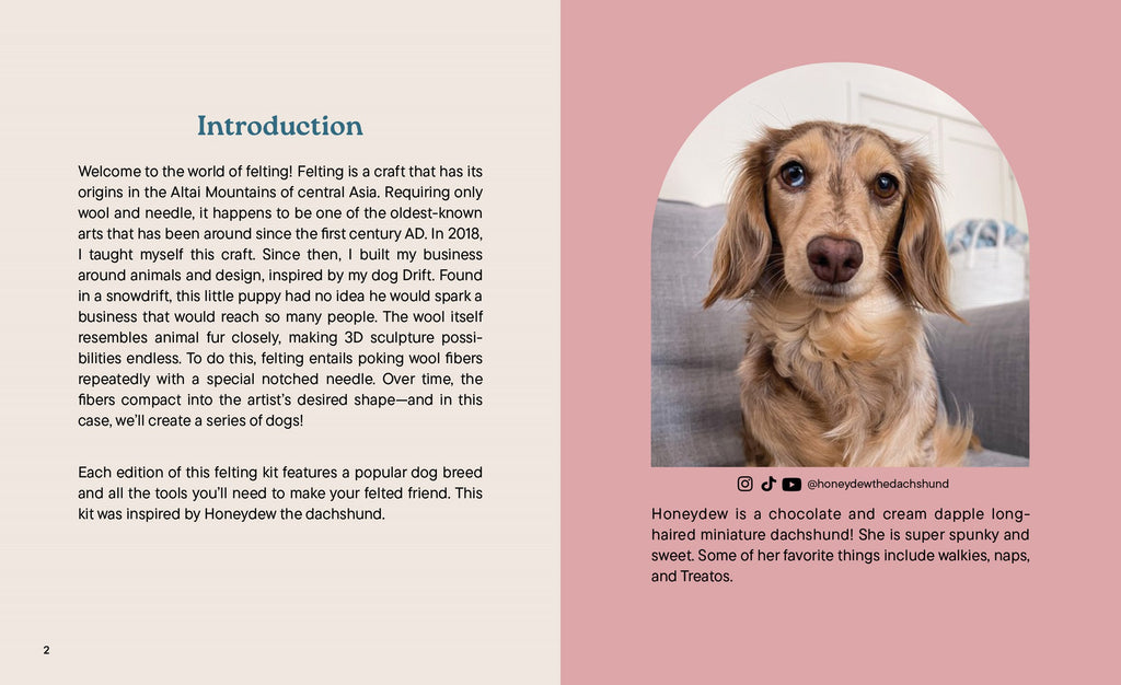 Little Felted Friends: Dachshund: Dog Needle-Felting Beginner Kit