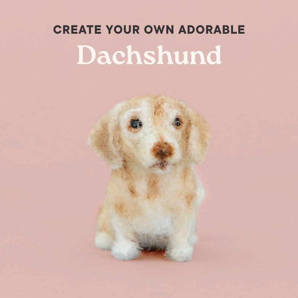 Little Felted Friends: Dachshund: Dog Needle-Felting Beginner Kit