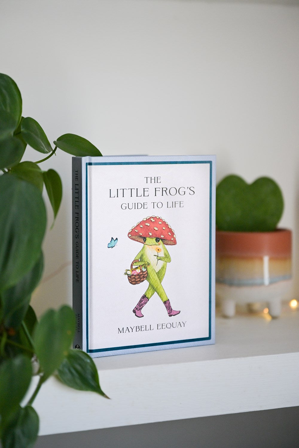 The Little Frog's Guide To Life