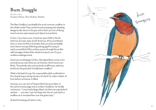 A Dumb Birds Field Guide to the Worst Birds Ever