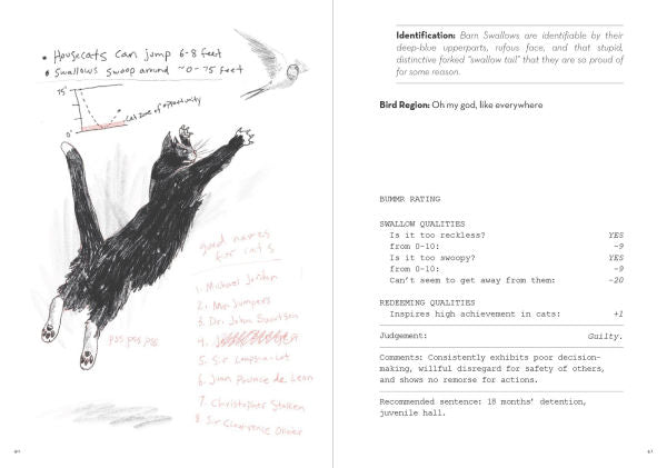 A Dumb Birds Field Guide to the Worst Birds Ever