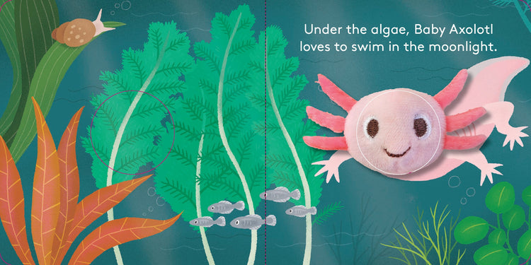 Baby Axolotl: Finger Puppet Book