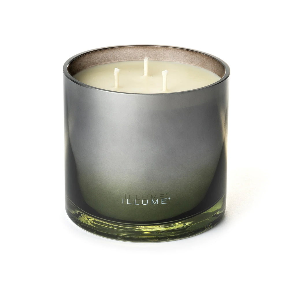 Blackberry Absinthe Statement 3-Wick Glass Candle