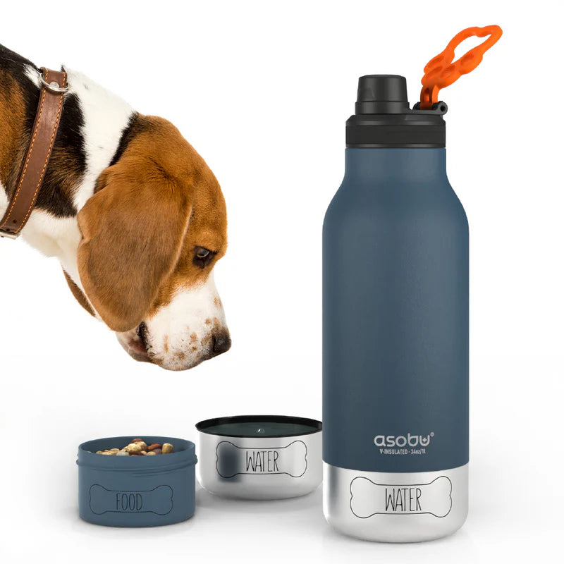 Barky Water Bottle Blue