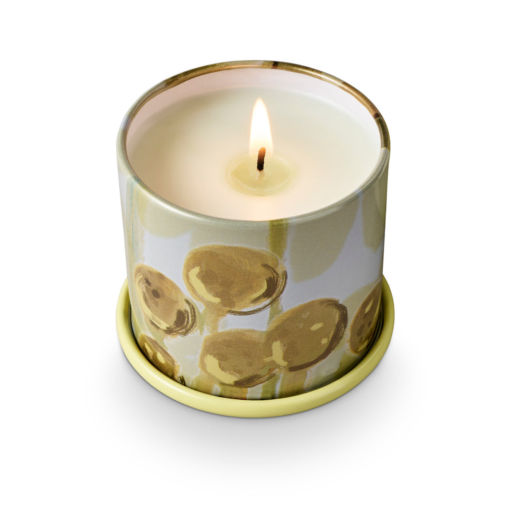Borealis Moss Demi Vanity Tin Candle