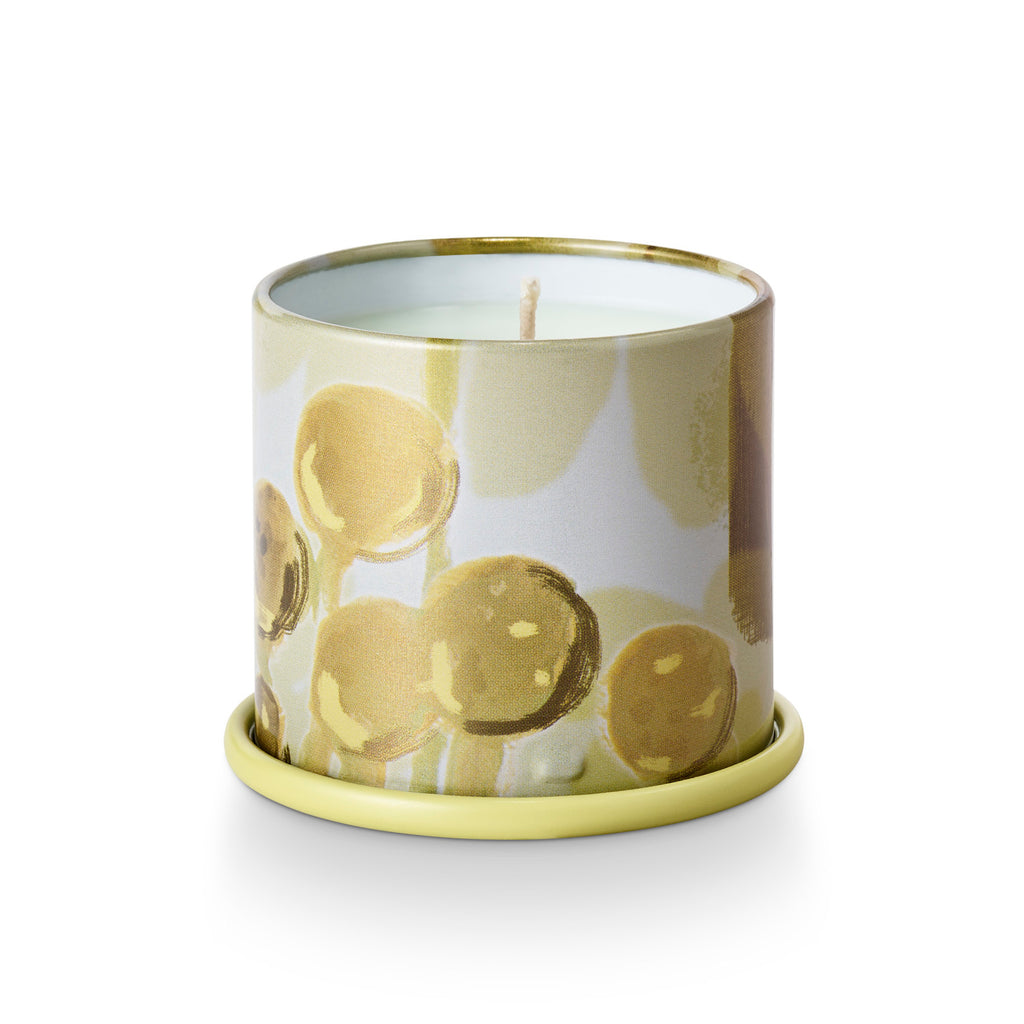 Borealis Moss Demi Vanity Tin Candle