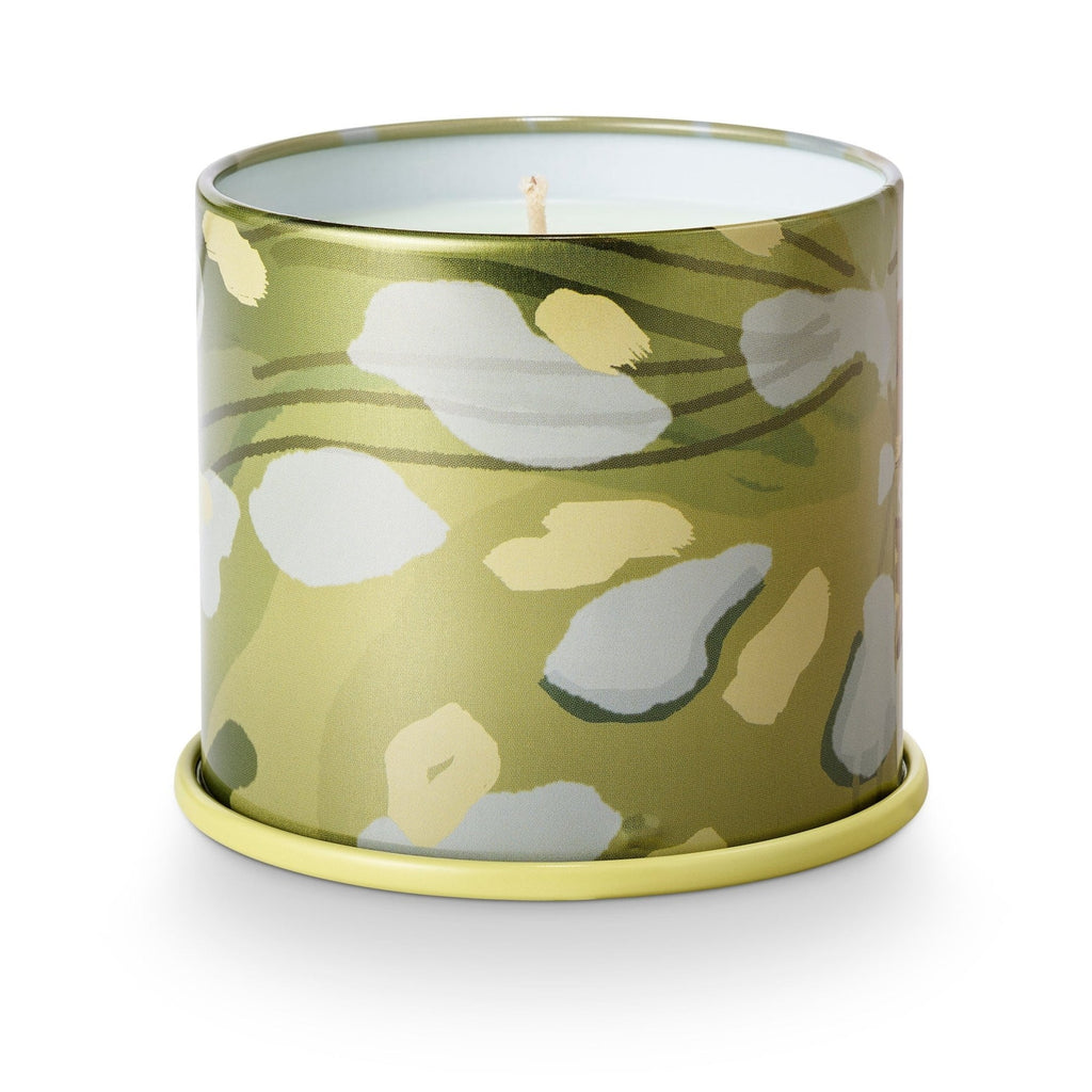 Borealis Moss Vanity Tin Candle