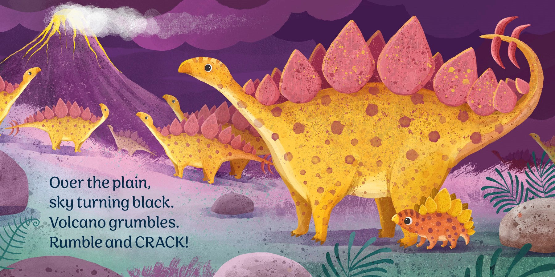 Baby Stegosaurus Board Book