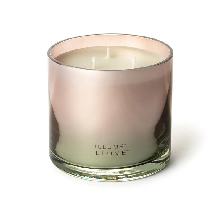 Coconut Milk Mango Statement Glass Candle