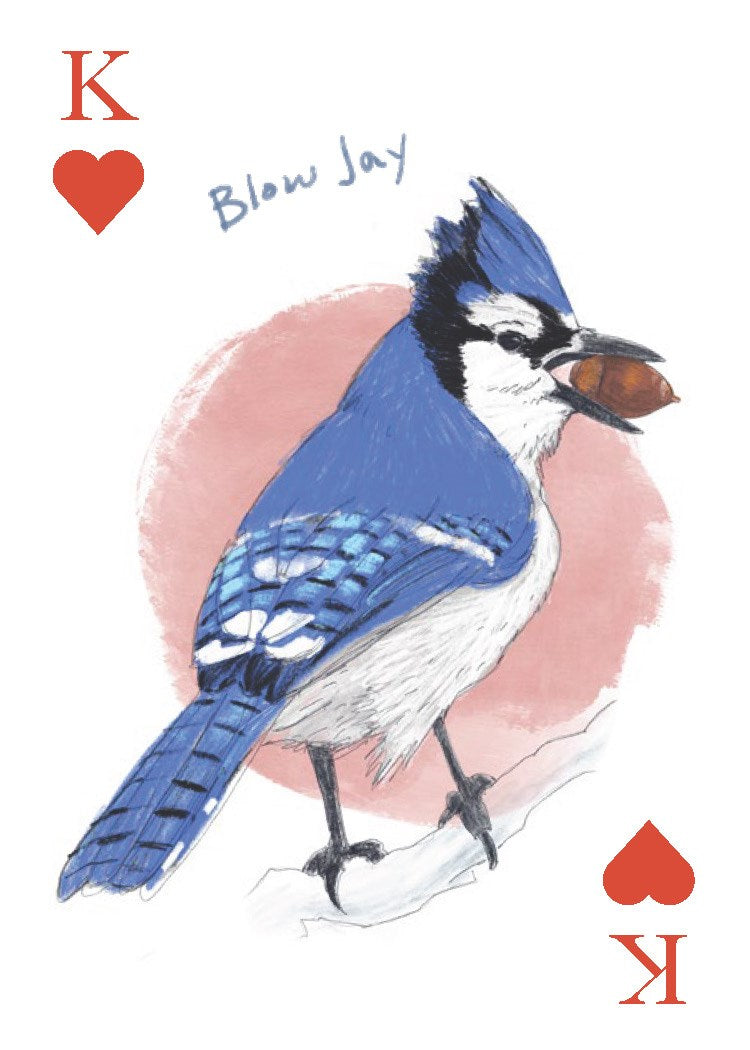 The Field Guide to Dumb Birds Playing Cards: 2-Deck Set