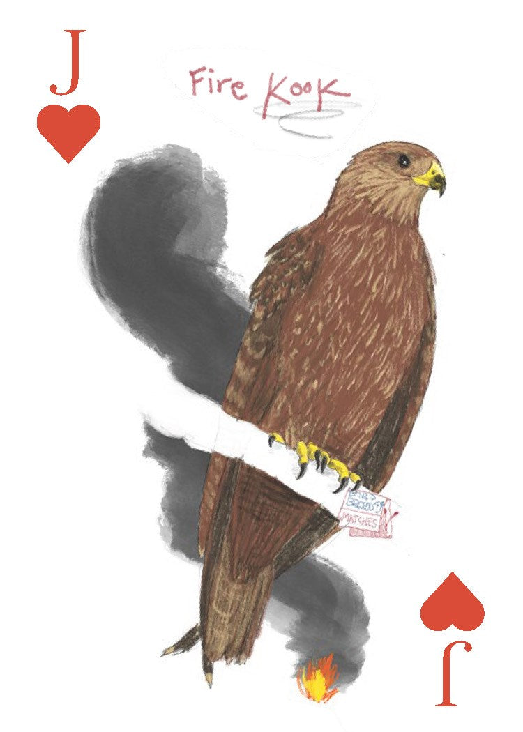 The Field Guide to Dumb Birds Playing Cards: 2-Deck Set