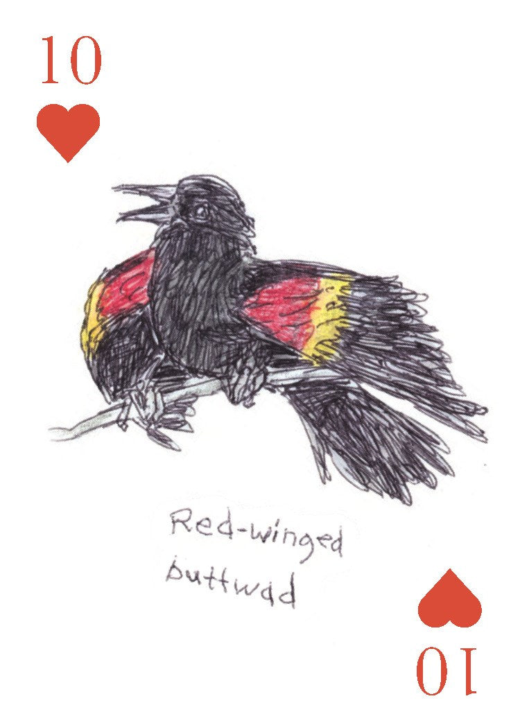 The Field Guide to Dumb Birds Playing Cards: 2-Deck Set