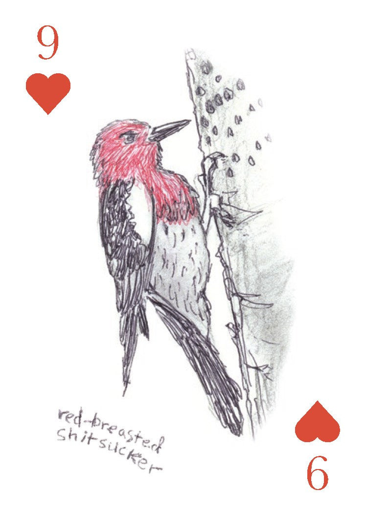 The Field Guide to Dumb Birds Playing Cards: 2-Deck Set