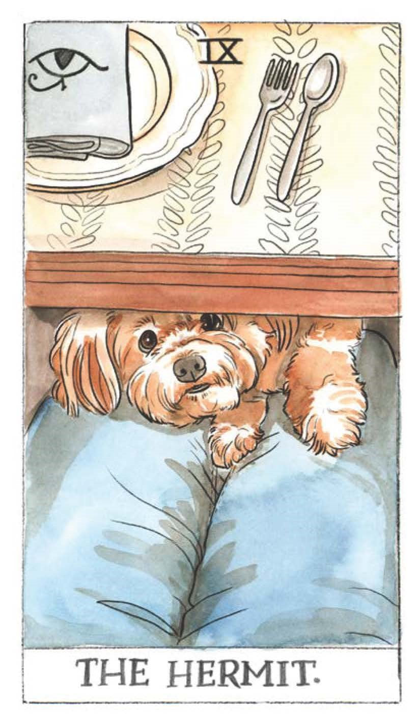 Dog Tarot Deck and Guidebook