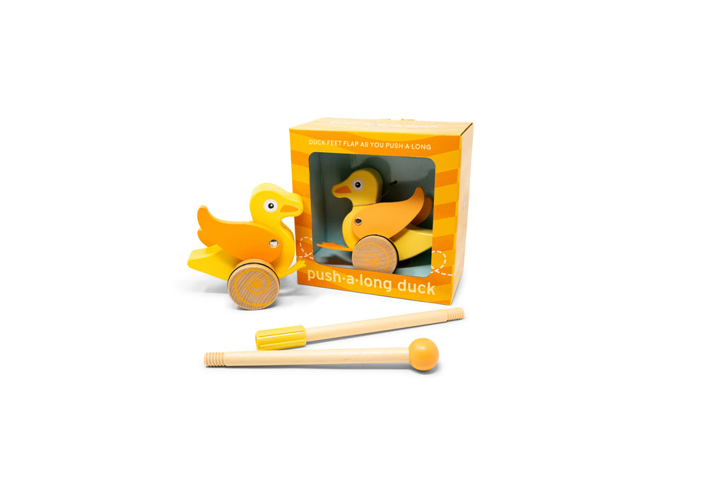 Duck push-a-long toy