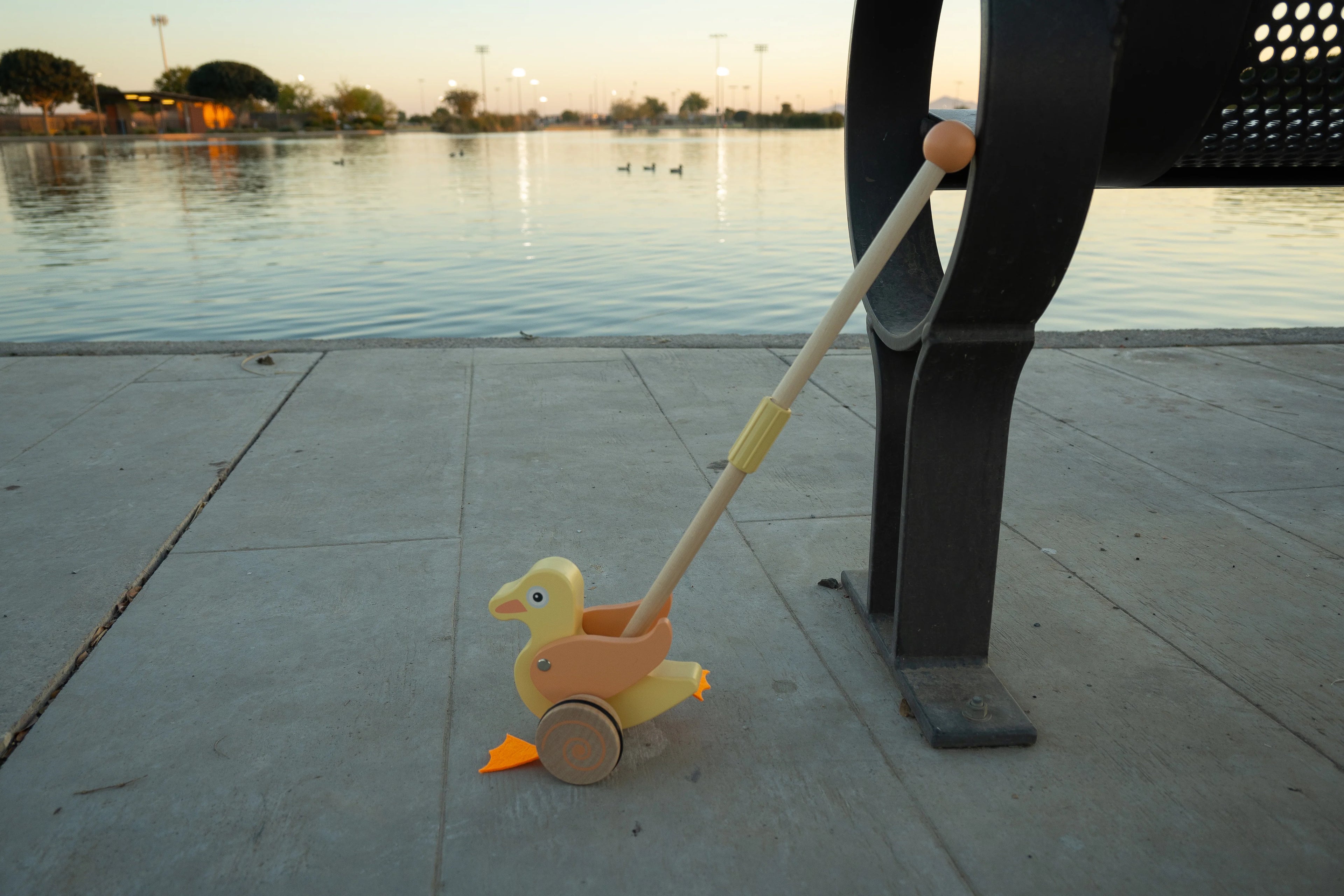 Duck push-a-long toy